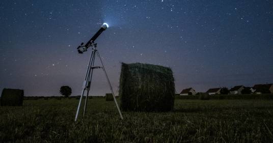 Una nebulosa a forma di delfino: l’immagine dallo spazio che vi stupirà