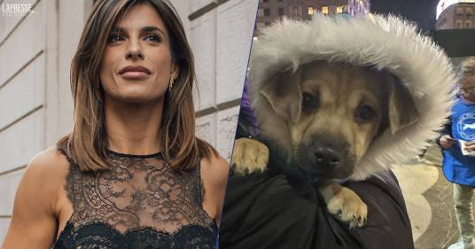 Elisabetta Canalis ha fatto da volontaria per curare i cani dei senzatetto: il suo è un messaggio importante