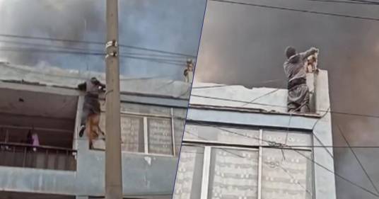 Un senzatetto si arrampica su un palazzo in fiamme per salvare 27 cani: il video diventa virale