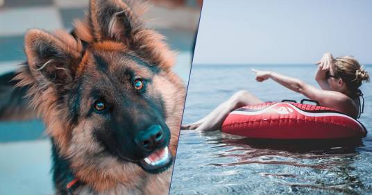 Salento: si addormenta sul materassino e va al largo, salvata dal suo cane