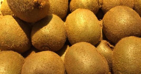 Tumori, dieta con fibre ‘potenzia’ risposta immunitaria