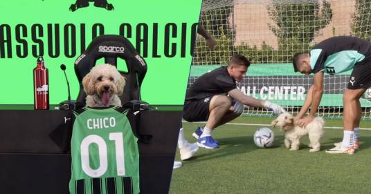 Nuovo acquisto per il Sassuolo: il cagnolino Chico entra nella rosa