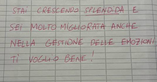 Fa il giro del web la storia del maestro che non assegna voti ma scrive messaggi motivazionali ai suoi alunni