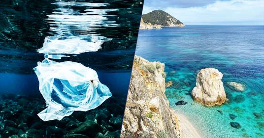 L’Isola d’Elba torna a splendere: rimossi 1.000 kg di rifiuti dalle spiagge e dai fondali