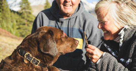 Giornata mondiale del cane: possedere un fido amico per più di 5 anni protegge le capacità cognitive in età avanzata