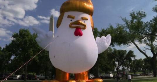 Un pollo gonfiabile con la faccia di Trump alla Casa Bianca