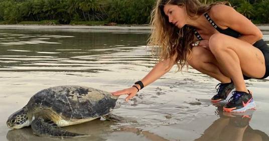 Gisele Bündchen ha salvato una tartaruga gigante: ecco il video