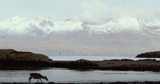 Un’isola incantevole per cambiare vita: Rùm, in Scozia, cerca nuovi abitanti