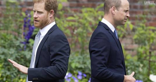 Harry e William sempre più distanti: ecco cosa dicono i tabloid inglesi