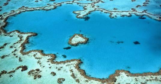 Buone notizie: la Grande Barriera Corallina sta guarendo