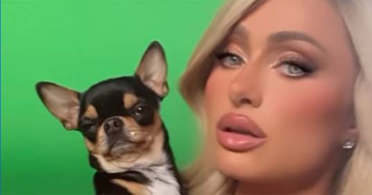 Paris Hilton ha perso la sua cagnolina: pronta a dare una cifra enorme a chi la ritrova
