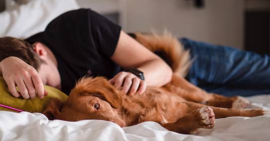 Lo dice il veterinario: “Dormire con il proprio cane fa bene al cuore e all’anima”