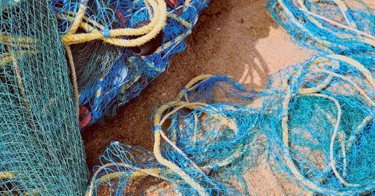 Il mare della Toscana ripulito da 3.700 metri quadri di reti illegali, 135 animali salvati e rimessi in acqua