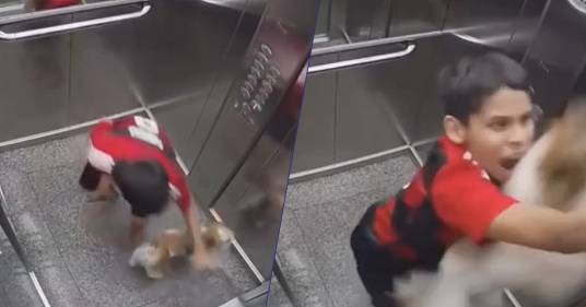 Bambino eroe salva il cane incastrato nell’ascensore: il video