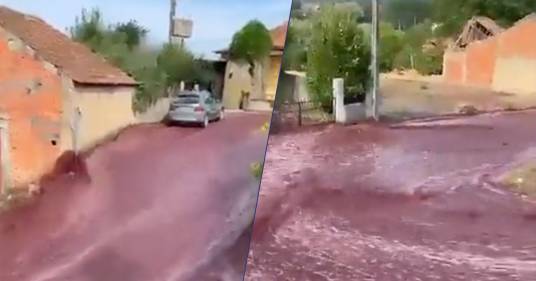 Le cisterne della distilleria si rompono e un fiume di vino invade la strade di questo paesino in Portogallo: il video