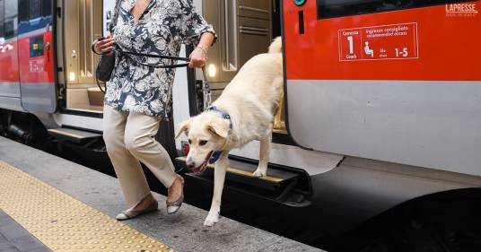 Sui treni regionali della Lombardia si potranno portare animali domestici e biciclette gratis