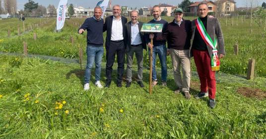 Sostenibilità, Mosaico Verde: inaugurato a Caravaggio intervento di forestazione