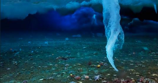 Nell’Oceano Antartico avviene il fenomeno del “dito della morte”: il video è da brividi