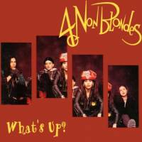  4 Non Blondes What's Up?