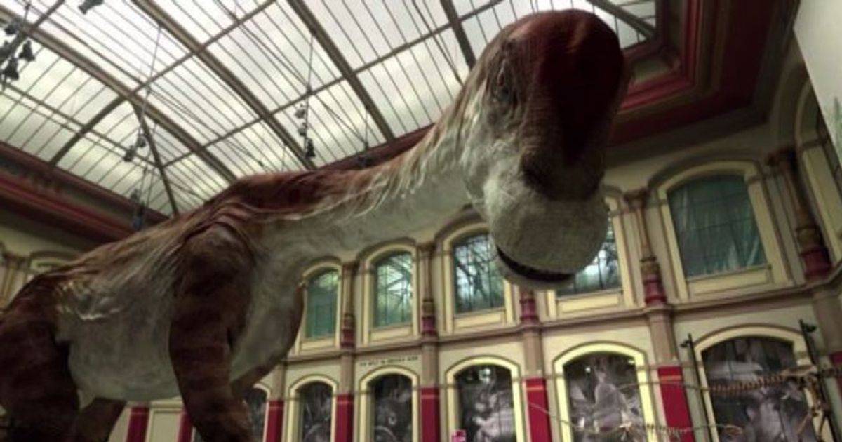I dinosauri prendono vita al Museo di scienze naturali a Berlino