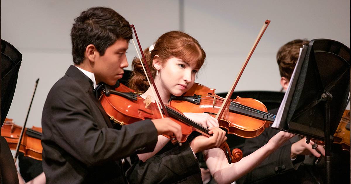 Il Politecnico di Milano e il suono perfetto dei violini Stradivari di Cremona scoperto il segreto