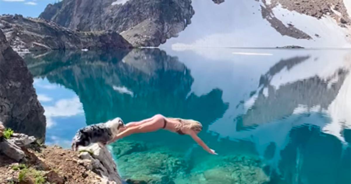 Tuffarsi col proprio cane in un bellissimo lago tra le montagne rocciose Fatto