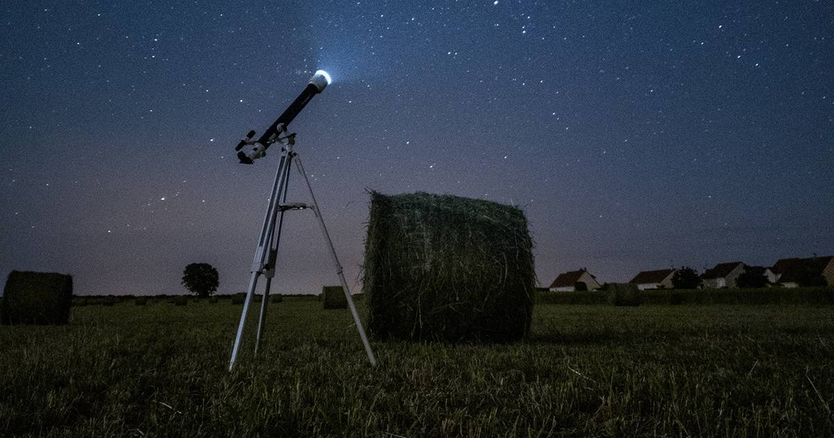 Una nebulosa a forma di delfino limmagine dallo spazio che vi stupir