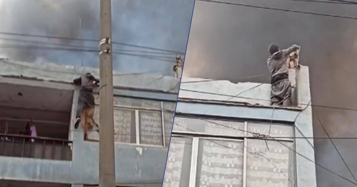 Un senzatetto si arrampica su un palazzo in fiamme per salvare 27 cani il video diventa virale