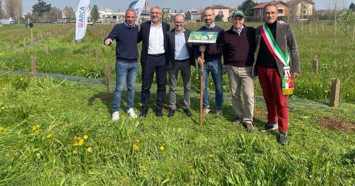 Sostenibilit Mosaico Verde inaugurato a Caravaggio intervento di forestazione