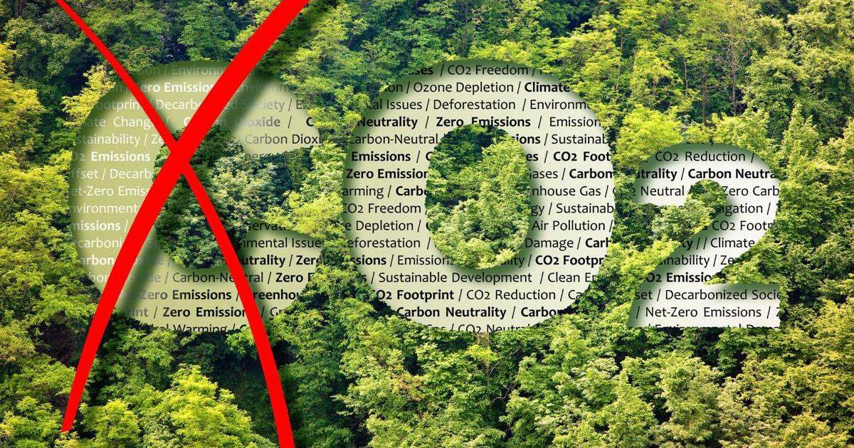 CarpeCarbon perch il progetto italiano per catturare la CO2  diverso da tutti gli altri