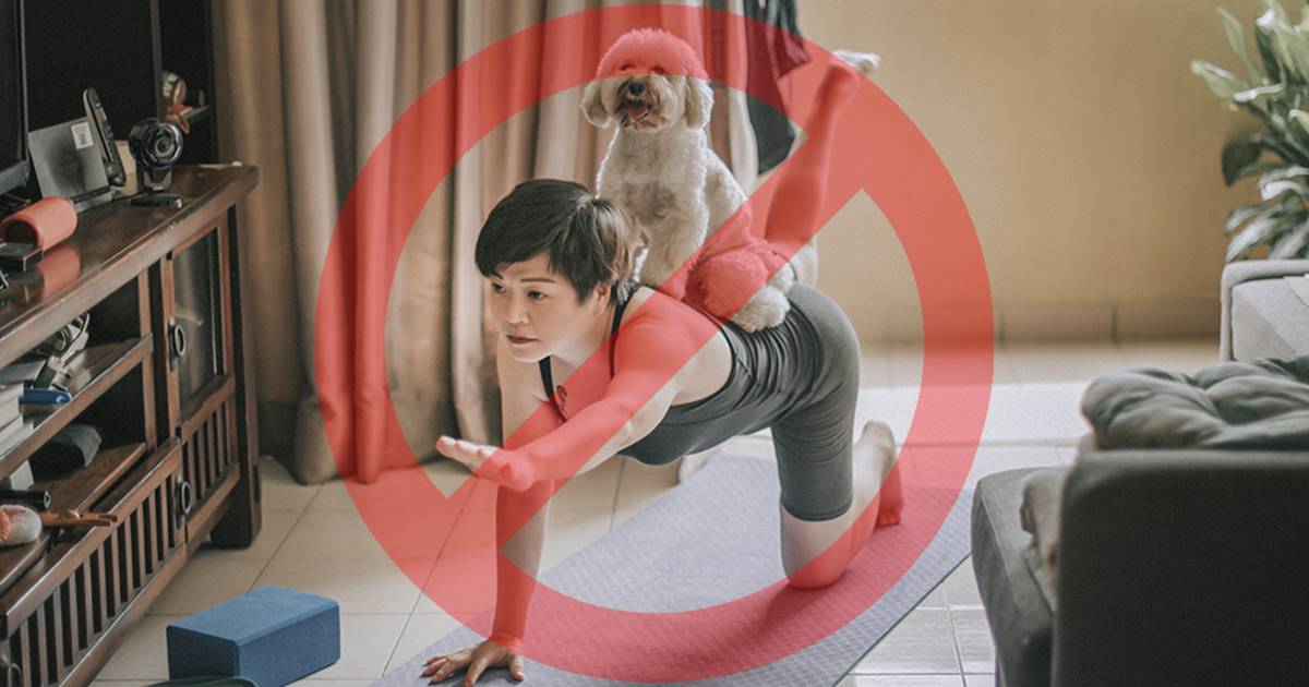 Stop al Puppy Yoga  arrivato il divieto definitivo da parte del Ministero della Salute