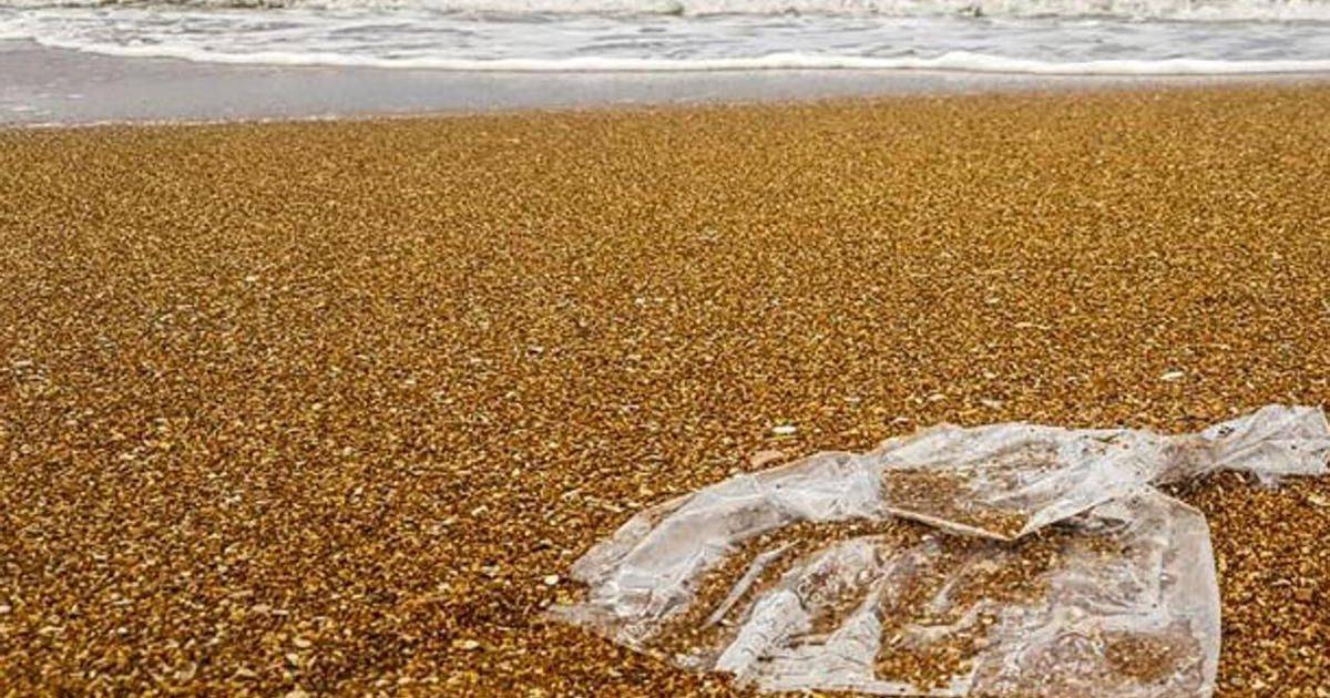 Beach Litter 2024 la top five dei rifiuti raccolti