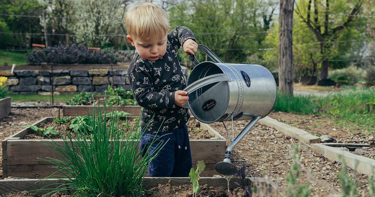 Sporchiamoci le mani secondo uno studio universitario fare giardinaggio migliora il sistema immunitario in soli 30 giorni