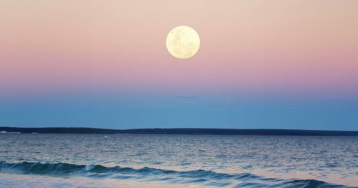 Luna del Cervo in arrivo non perderti lo spettacolo della luna piena destate per eccellenza