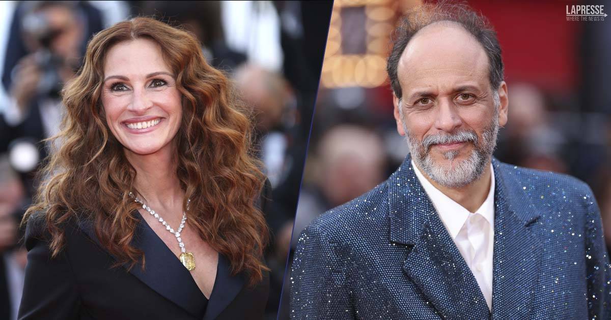 Dopo Challengers ecco la trama del nuovo film di Guadagnino con protagonista Julia Roberts