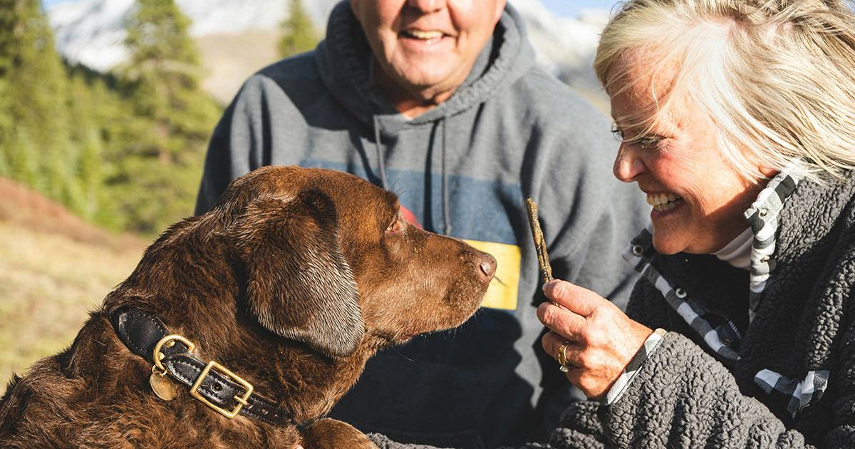 Giornata mondiale del cane possedere un fido amico per pi di 5 anni protegge le capacit cognitive in et avanzata