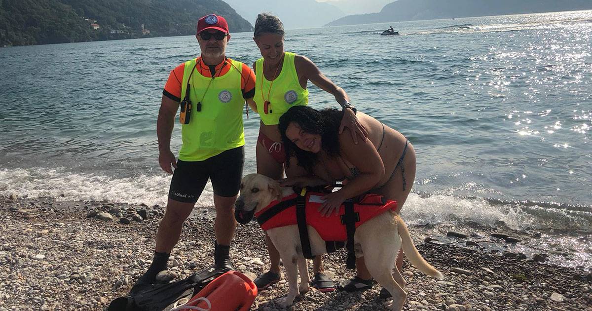 Cane eroe Sole salva una ragazza trascinata dalla corrente nel lago di Como