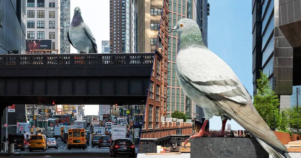 A New York  in arrivo una statua di 5 metri raffigurante un piccione il messaggio nascosto