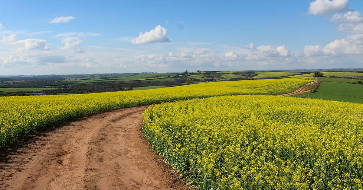 Sogni un lavoro nella natura Se hai tra i 18 e i 40 anni per te  aperto il Bando giovani agricoltori