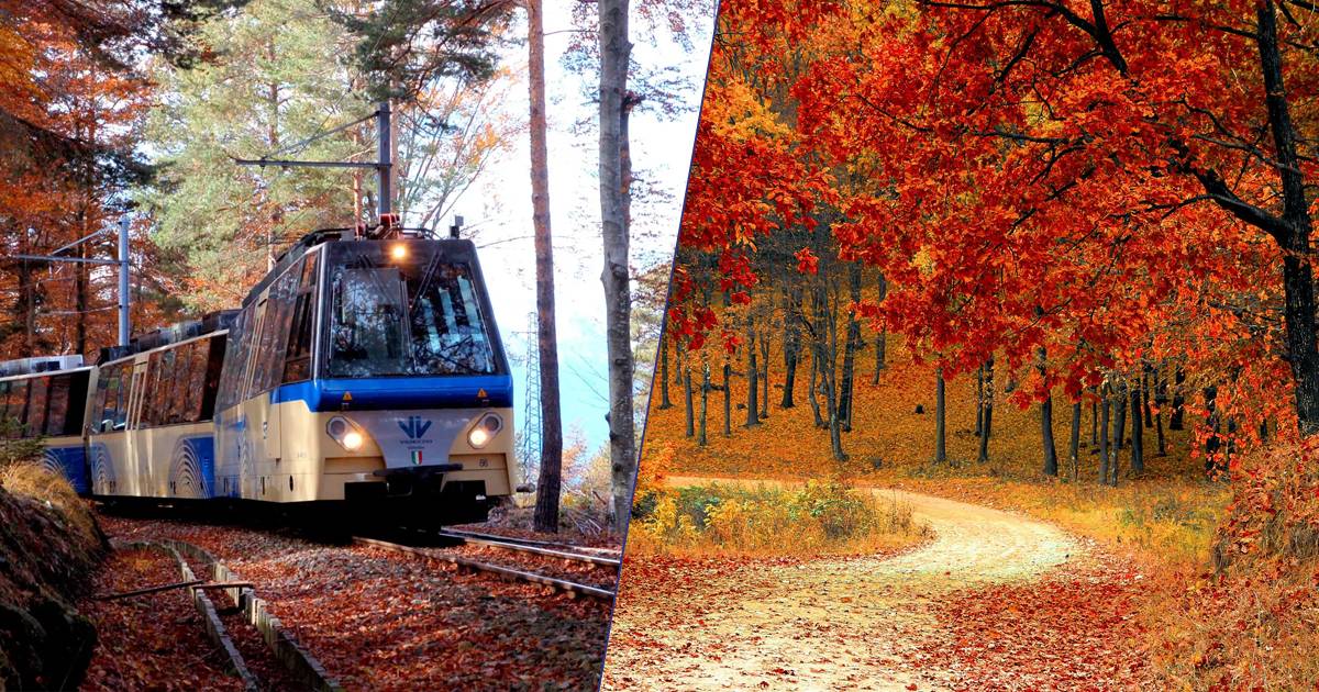 Scopri il Treno del Foliage unesperienza unica tra i colori dellautunno