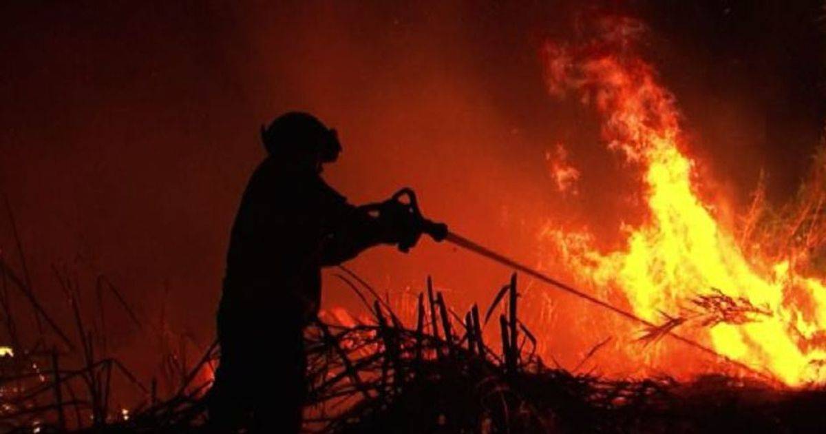 Portogallo i vigili del fuoco domano gli ultimi roghi boschivi