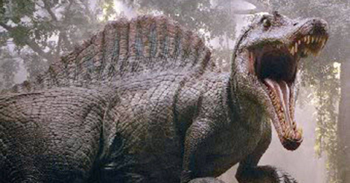 Jurassic World No  vero scoperto il fossile di un baby Spinosauro