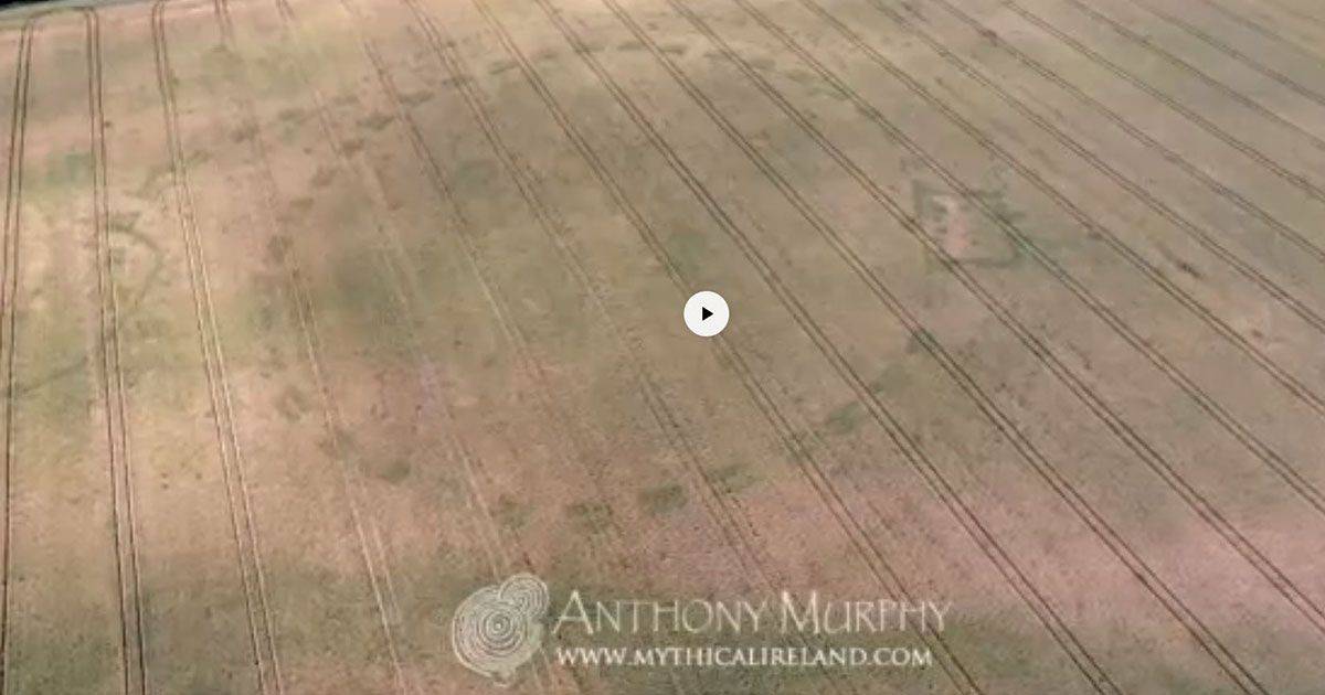 Irlanda il mistero dei cerchi nel grano la scoperta con il drone di 4500 anni fa