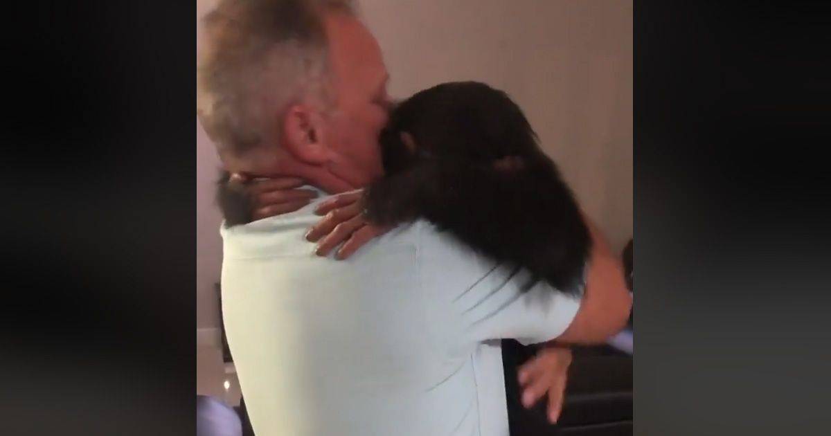 Respinto dalla mamma cucciolo di scimpanz abbraccia le persone che l8217hanno crescuto