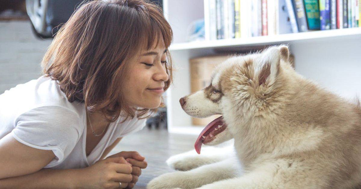 Avere un cane fa benissimo alla salute lo dice questo studio
