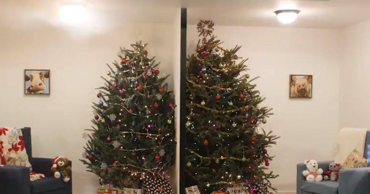 Tutti i pericoli che nasconde un albero di Natale in questo video