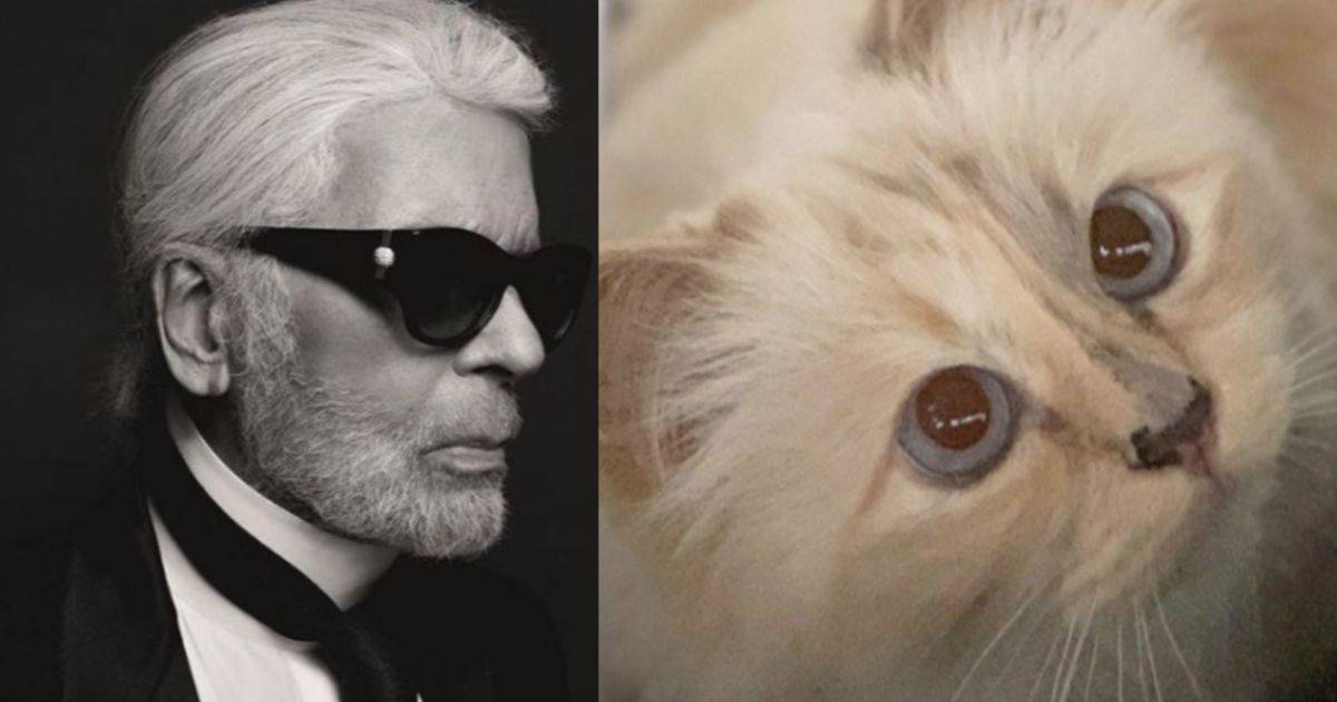 Addio a Karl Lagerfeld nella lista dei suoi eredi c8217 la gatta Chupette