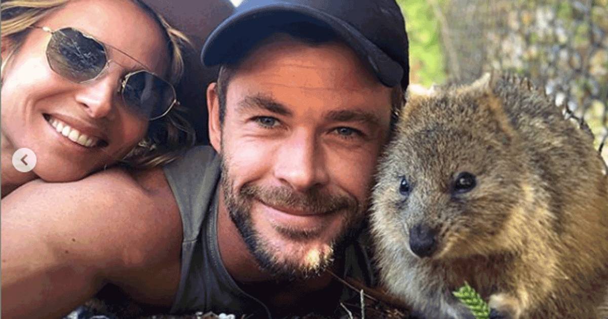 Chris Hemsworth e la moglie il selfie con il quokka  virale