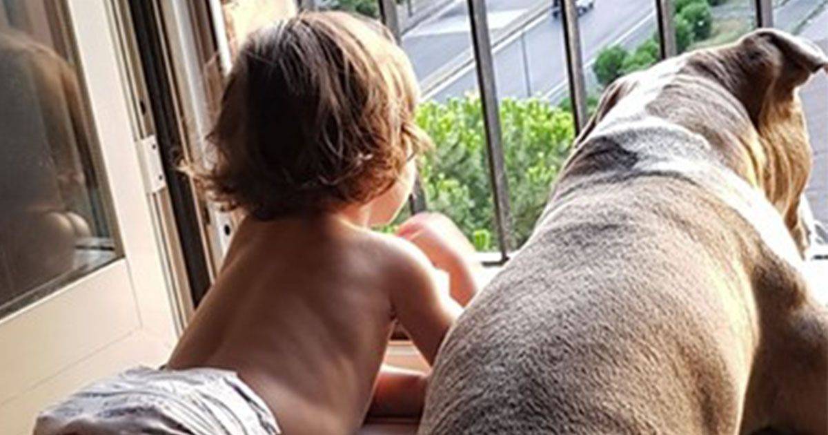 La storia tra il cane e la neonata diventata virale su Facebook