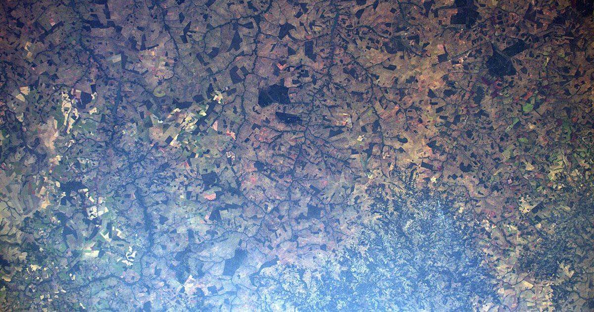Foresta amazzonica le foto dallo spazio di Luca Parmitano